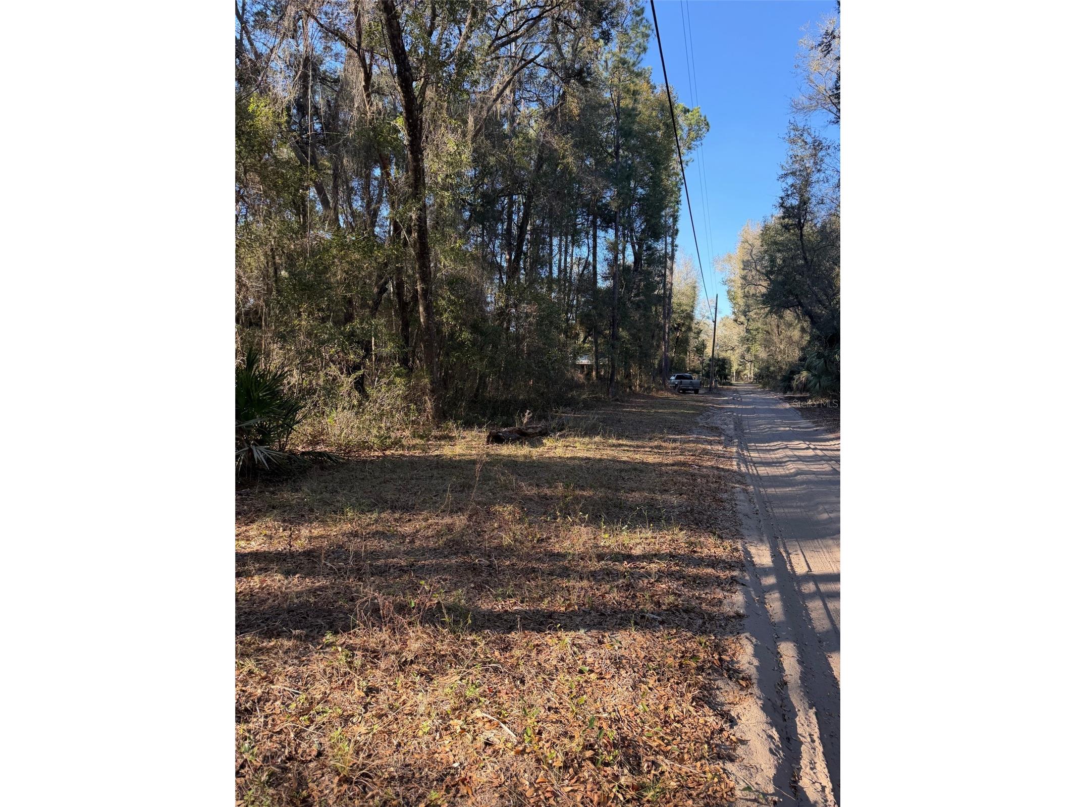 TBD NE 150 Avenue Fort Mc Coy FL 32134 OM719439 image7