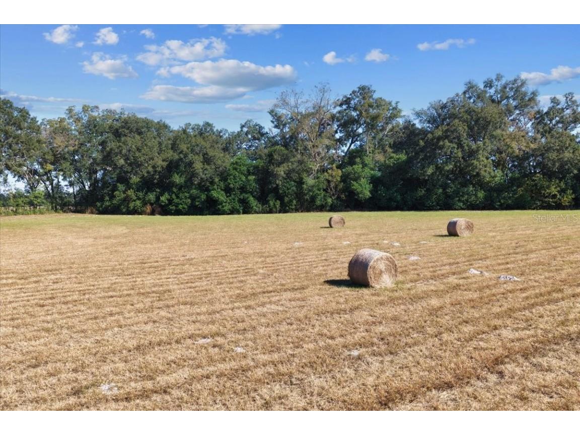 TBD NE 150 Street Trenton FL 32693 OM713886 image1