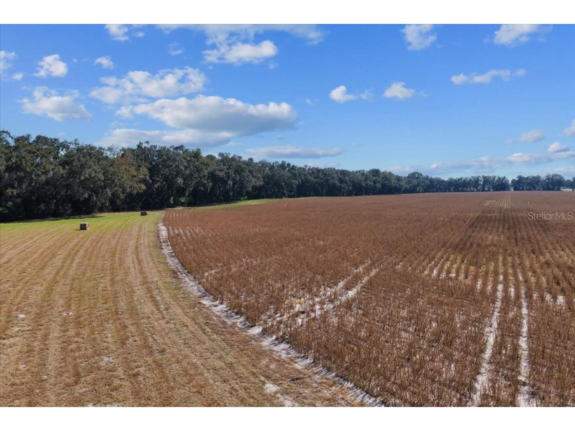 TBD NE 150 Street Trenton FL 32693 OM713886 image2