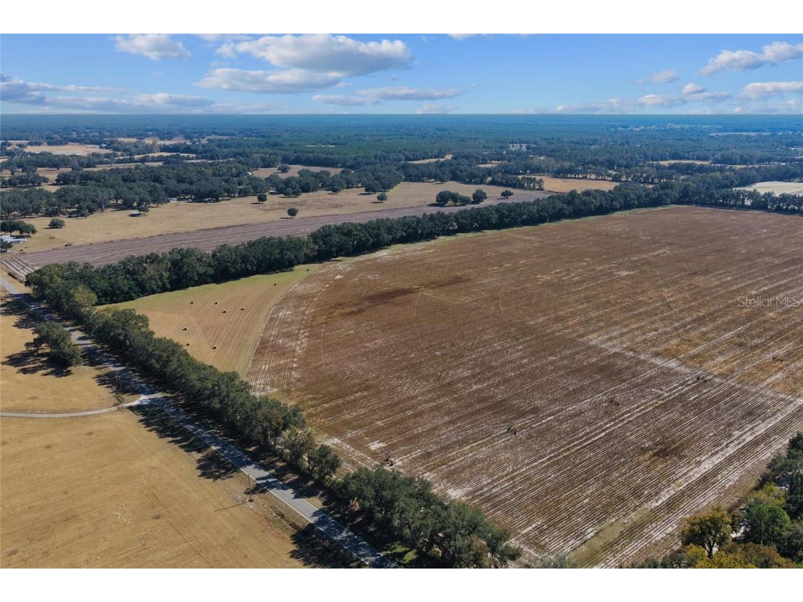 TBD NE 150 Street Trenton FL 32693 OM713886 image25
