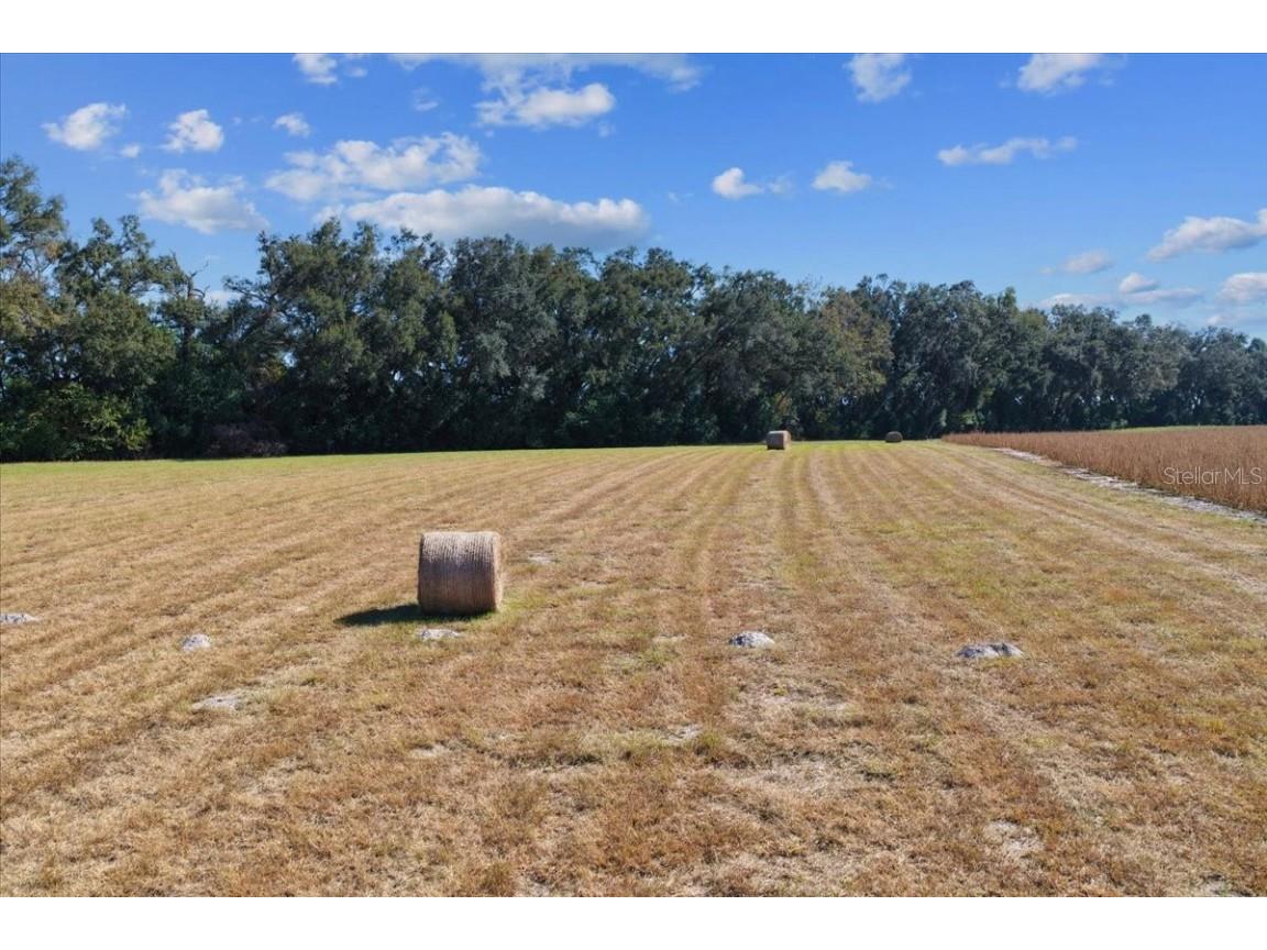 TBD NE 150 Street Trenton FL 32693 OM713886 image3