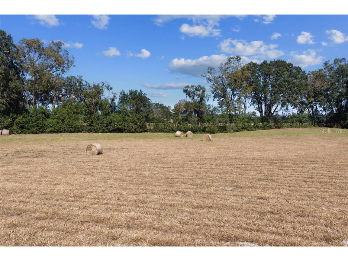 TBD NE 150 Street Trenton FL 32693 OM713886 image4