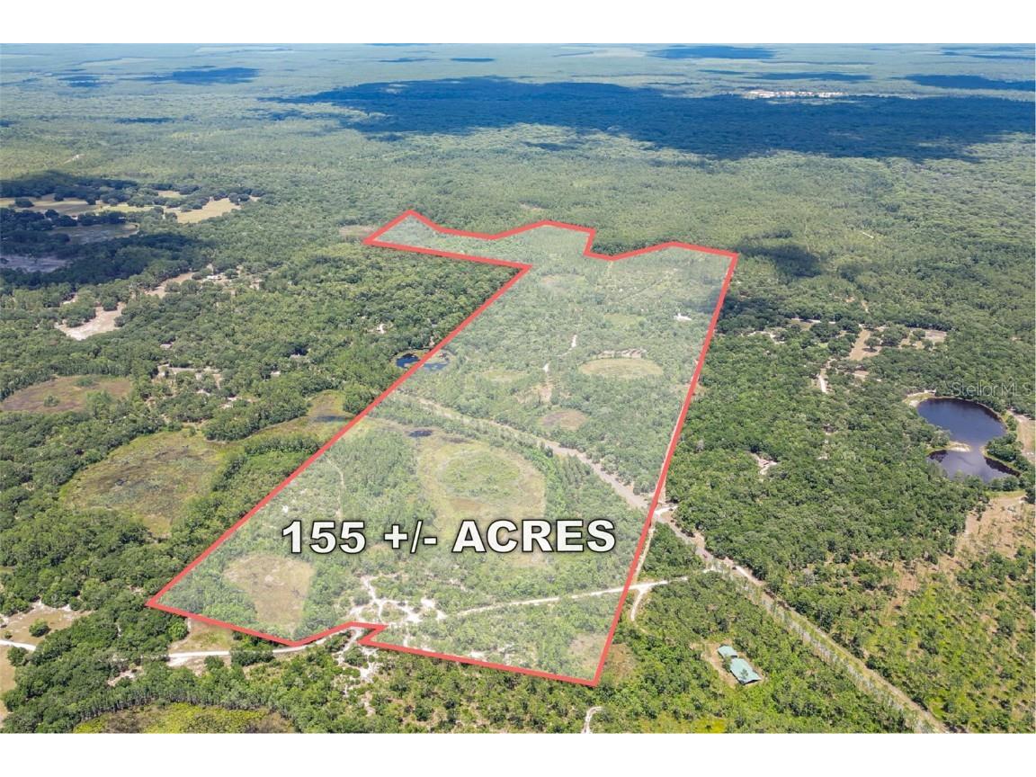 TBD NE 150th Ave Rd Avenue Fort Mc Coy FL 32134 OM680195 image1