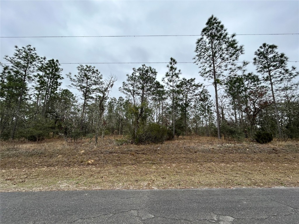 TBD NE 150th Avenue Williston FL 32696 OM670637 image1