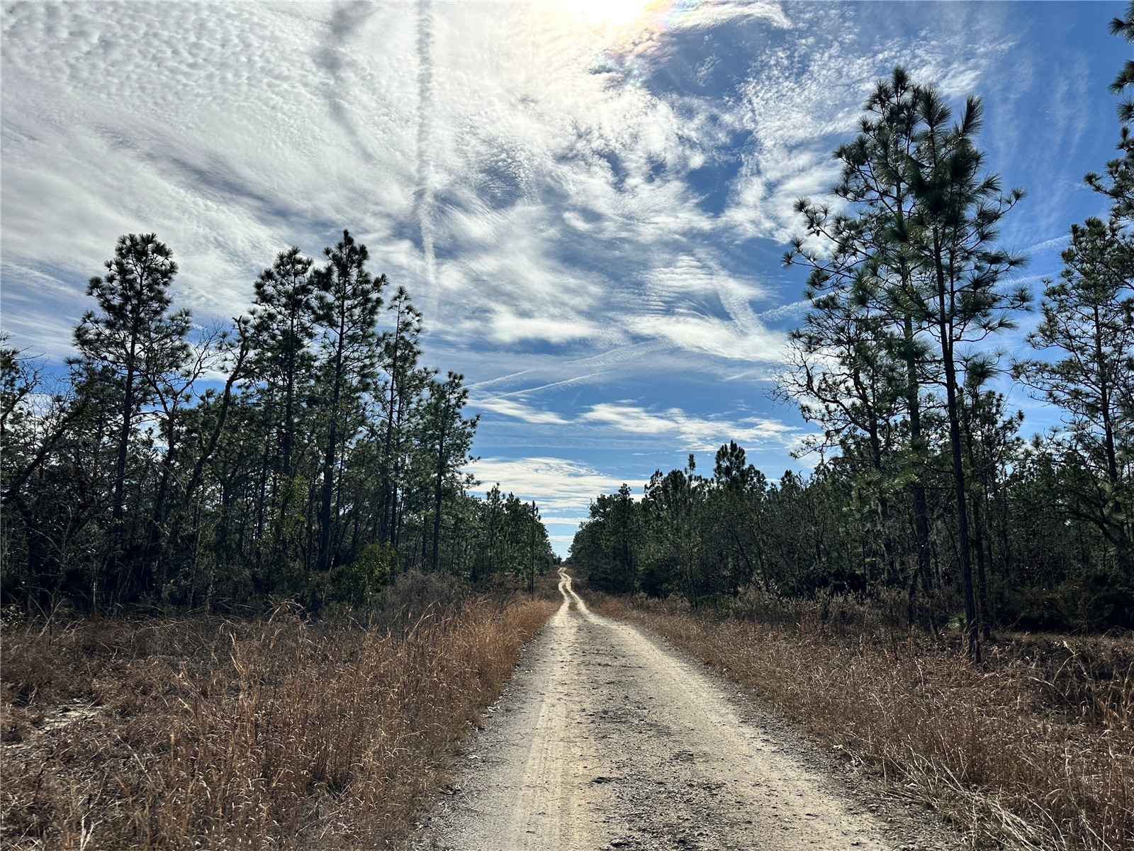 TBD NE 150th Court Williston FL 32696 OM717198 image4