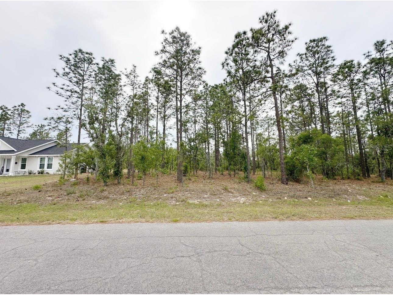 TBD NE 150th Lot 10 Avenue Williston FL 32696 GC540224 image1