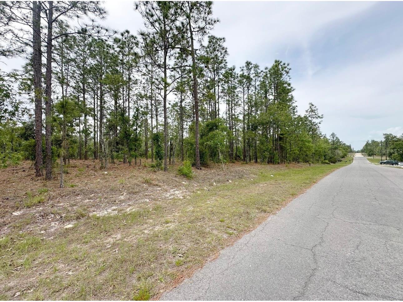 TBD NE 150th Lot 10 Avenue Williston FL 32696 GC540224 image2