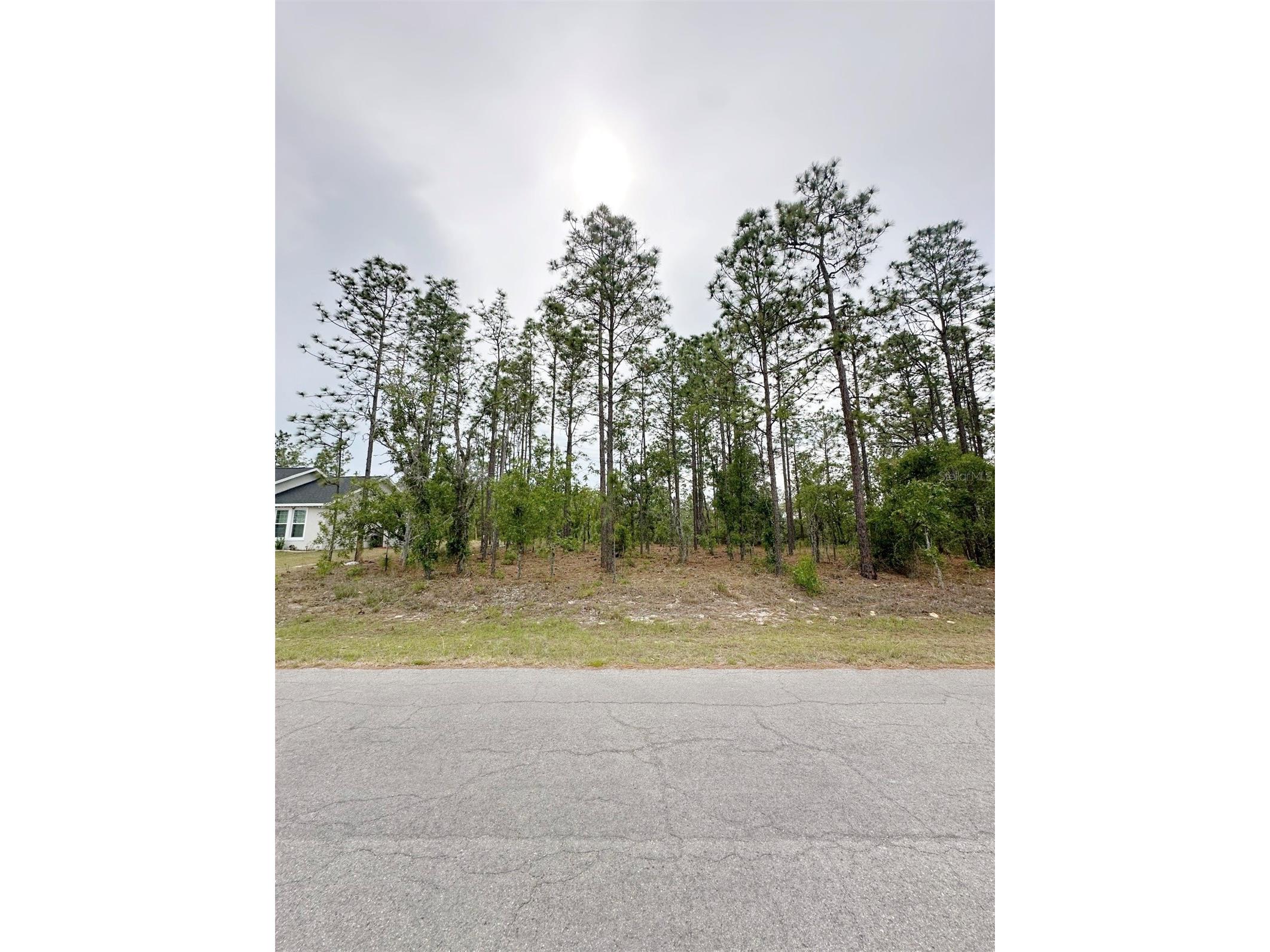 TBD NE 150th Lot 10 Avenue Williston FL 32696 GC540224 image4