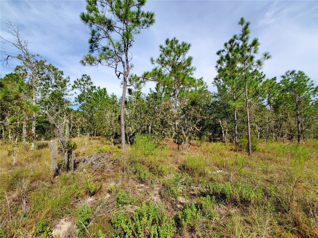 TBD NE 151st Avenue Williston FL 32696 GC507876 image1