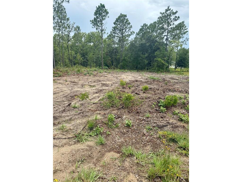 TBD NE 151st Terrace Williston FL 32696 GC532082 image1