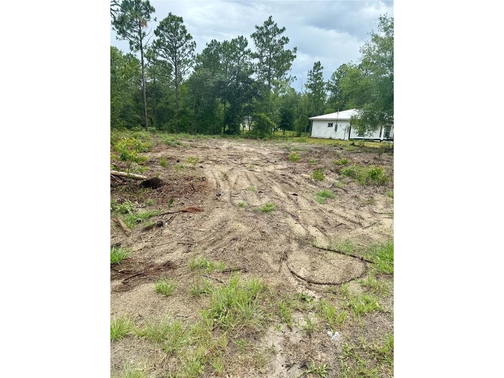 TBD NE 151st Terrace Williston FL 32696 GC532082 image3