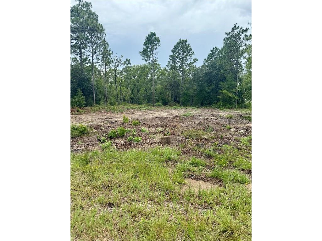 TBD NE 151st Terrace Williston FL 32696 GC532082 image4