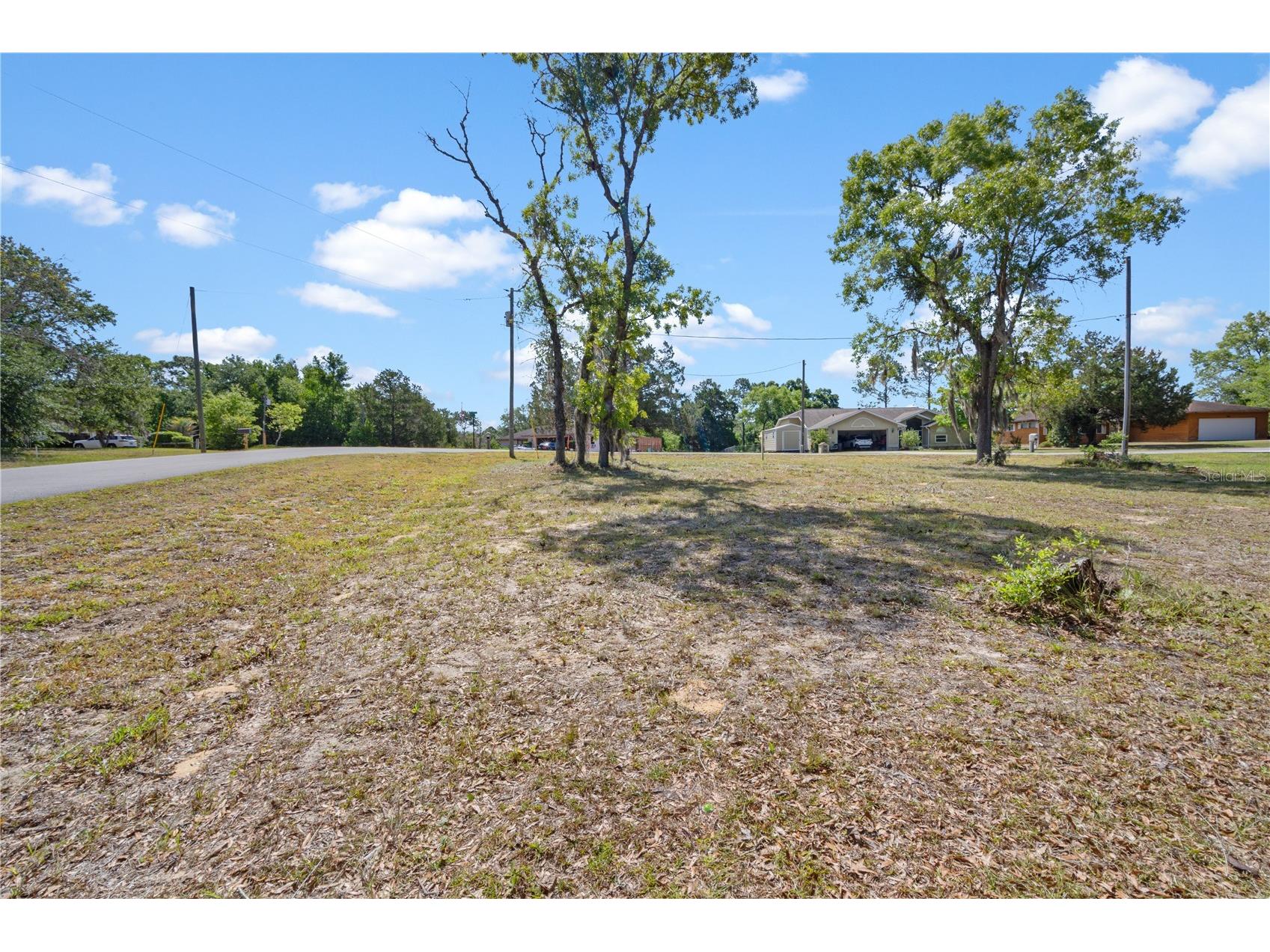 TBD NE 152 Terrace Williston FL 32696 OM723781 image3