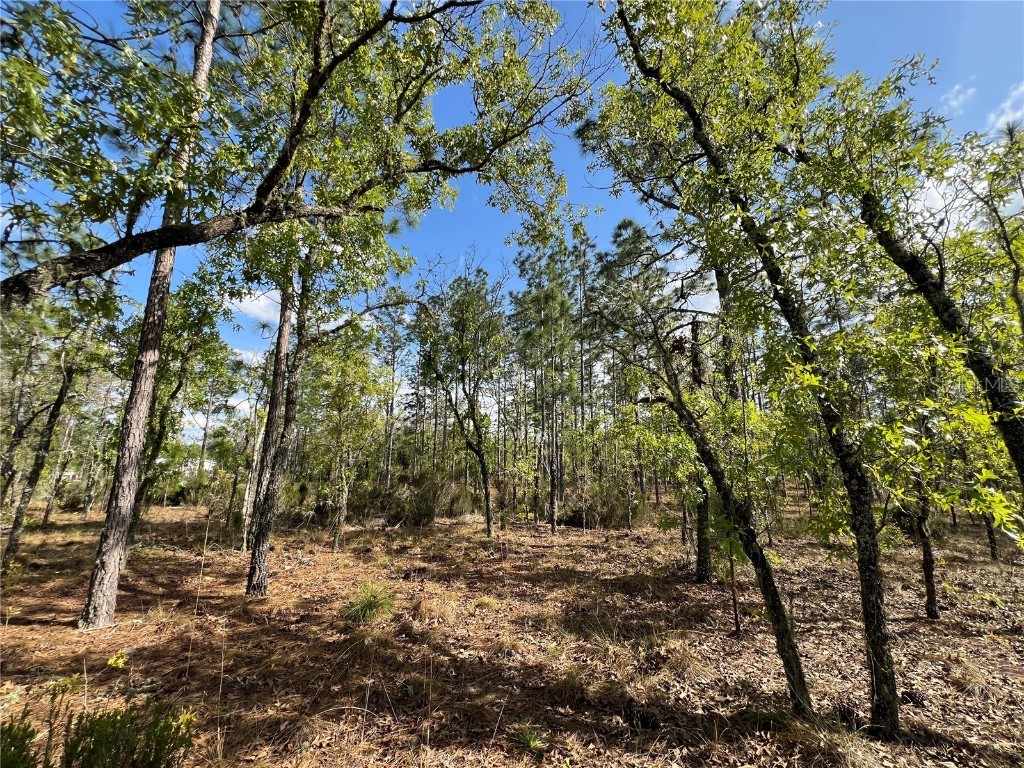 TBD NE 152nd Court Williston FL 32696 GC520600 image1