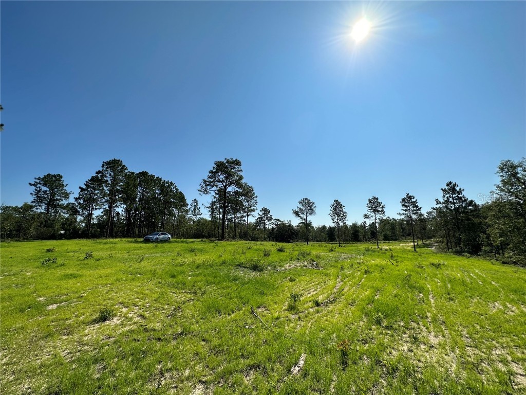 TBD NE 152nd Court Williston FL 32696 OM658216 image1