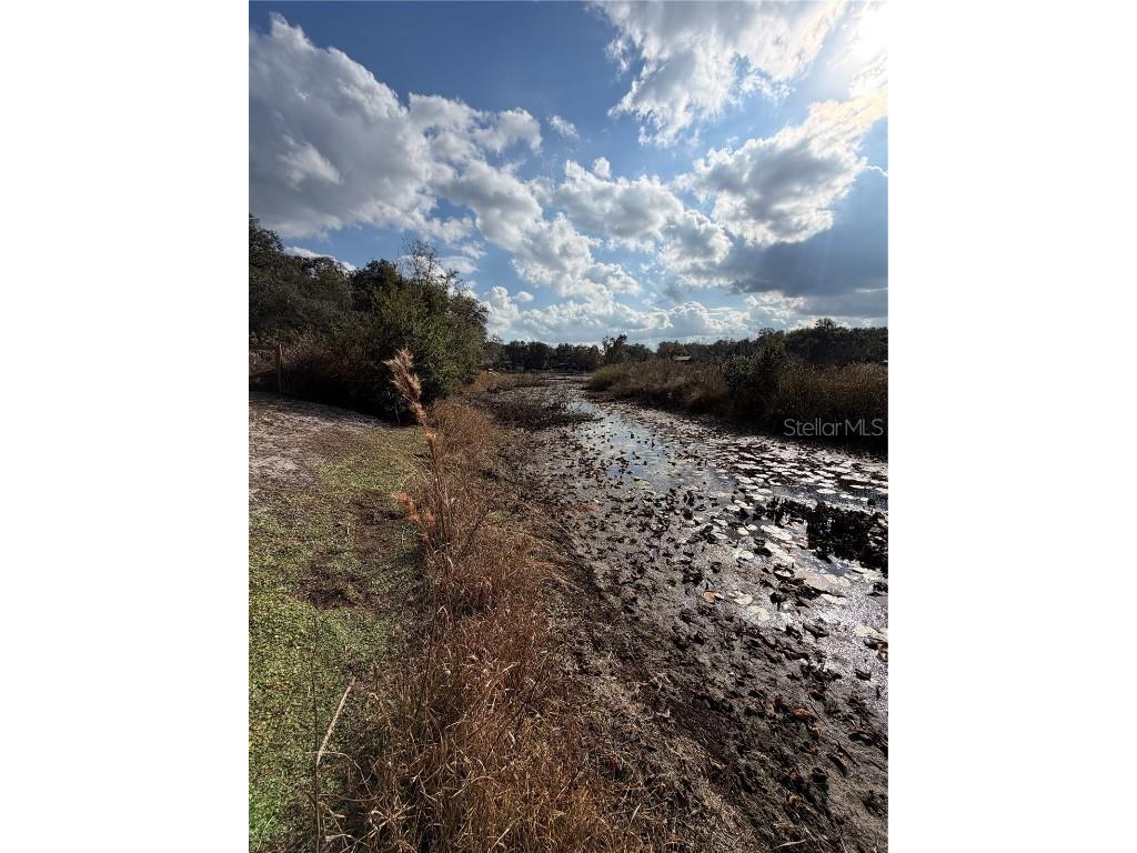 TBD NE 152nd Lane Salt Springs FL 32134 - LITTLE LAKE KERR OM715523 image10