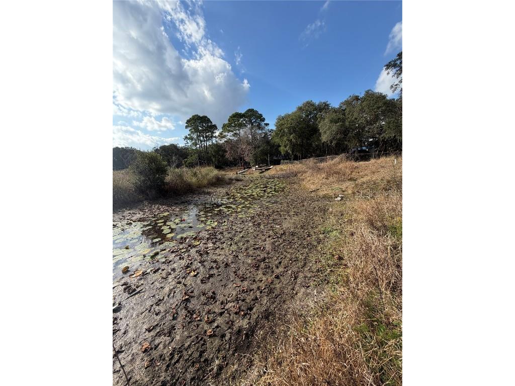 TBD NE 152nd Lane Salt Springs FL 32134 - LITTLE LAKE KERR OM715523 image11