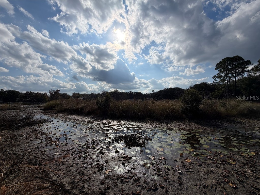 TBD NE 152nd Lane Salt Springs FL 32134 - LITTLE LAKE KERR OM715523 image12