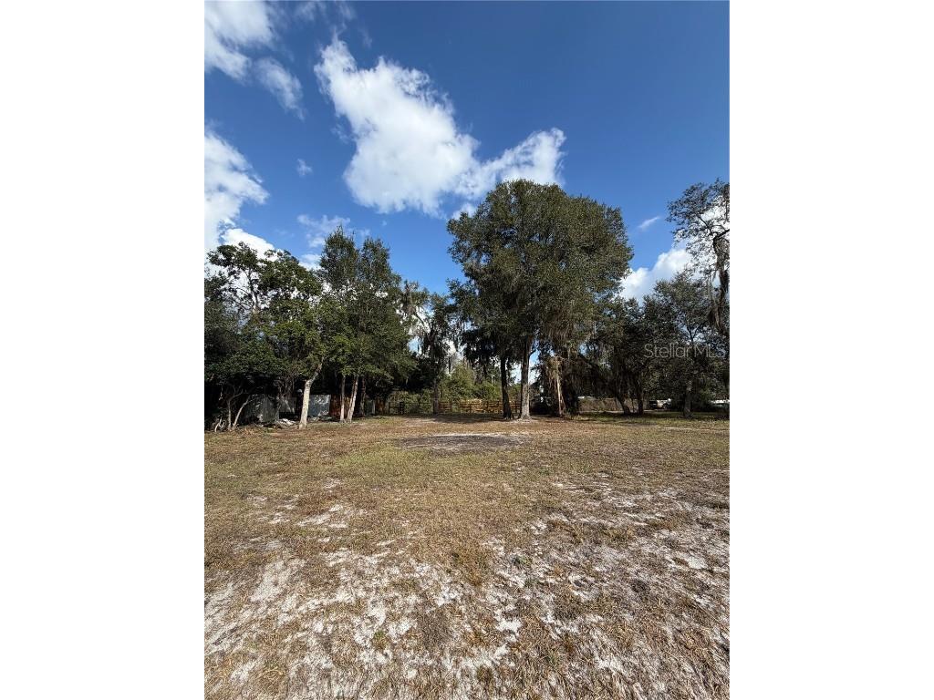 TBD NE 152nd Lane Salt Springs FL 32134 - LITTLE LAKE KERR OM715523 image13