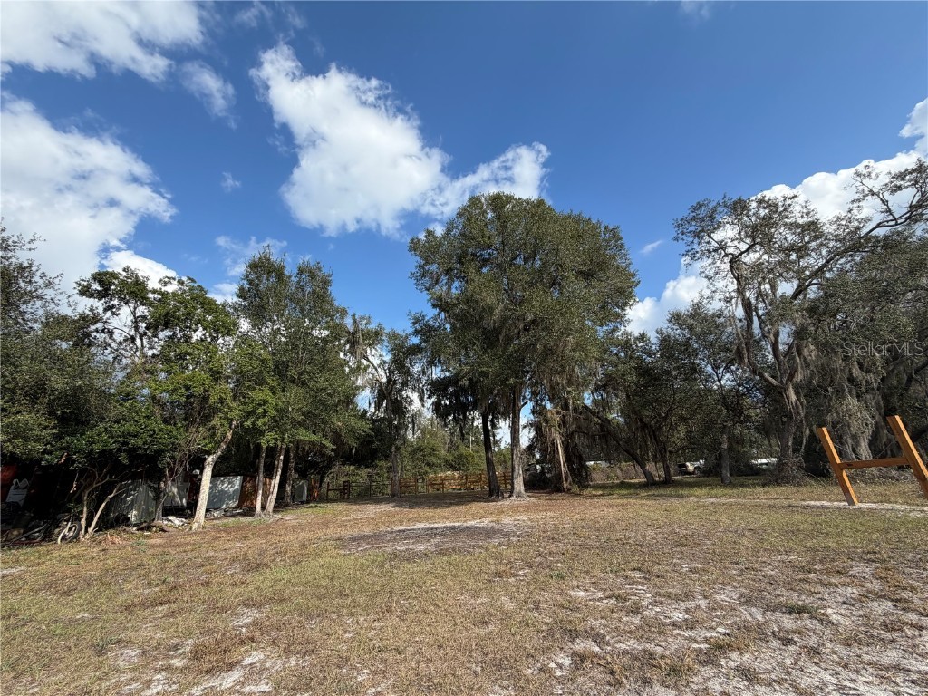 TBD NE 152nd Lane Salt Springs FL 32134 - LITTLE LAKE KERR OM715523 image14