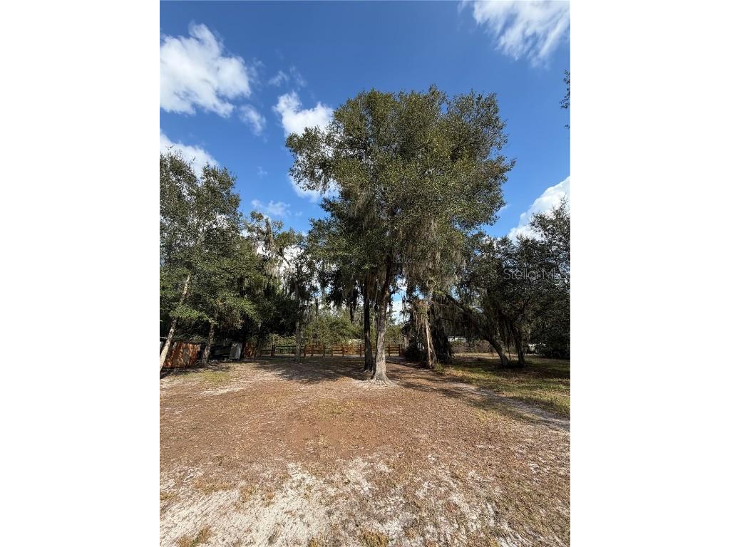 TBD NE 152nd Lane Salt Springs FL 32134 - LITTLE LAKE KERR OM715523 image15