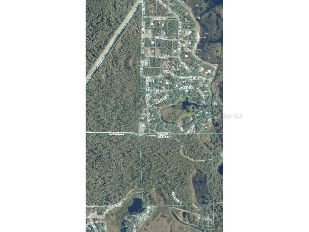 TBD NE 152nd Lane Salt Springs FL 32134 - LITTLE LAKE KERR OM715523 image16