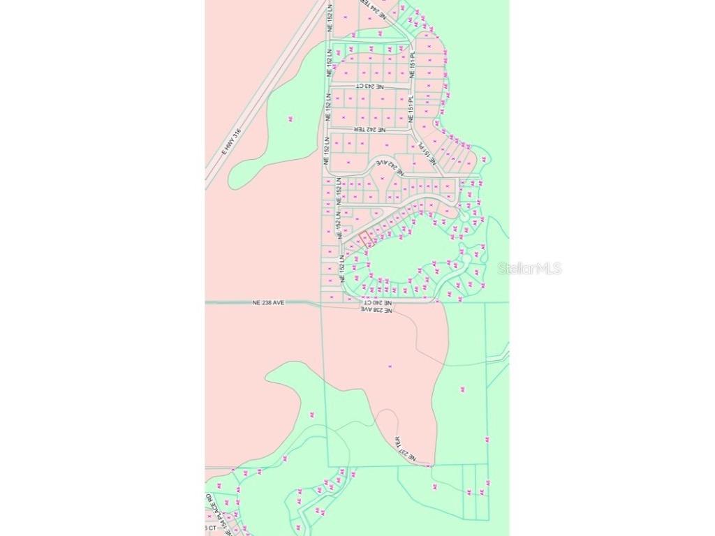 TBD NE 152nd Lane Salt Springs FL 32134 - LITTLE LAKE KERR OM715523 image17