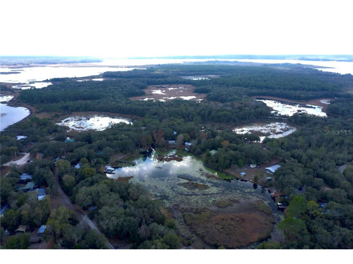 TBD NE 152nd Lane Salt Springs FL 32134 - LITTLE LAKE KERR OM715523 image18