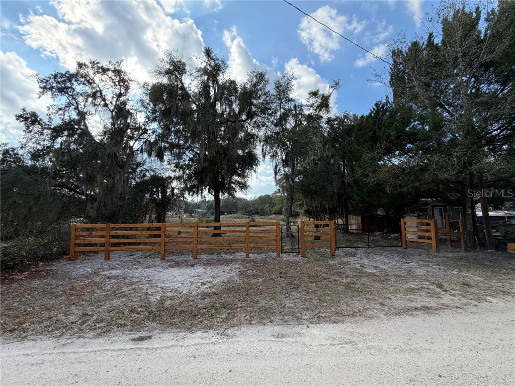 TBD NE 152nd Lane Salt Springs FL 32134 - LITTLE LAKE KERR OM715523 image4