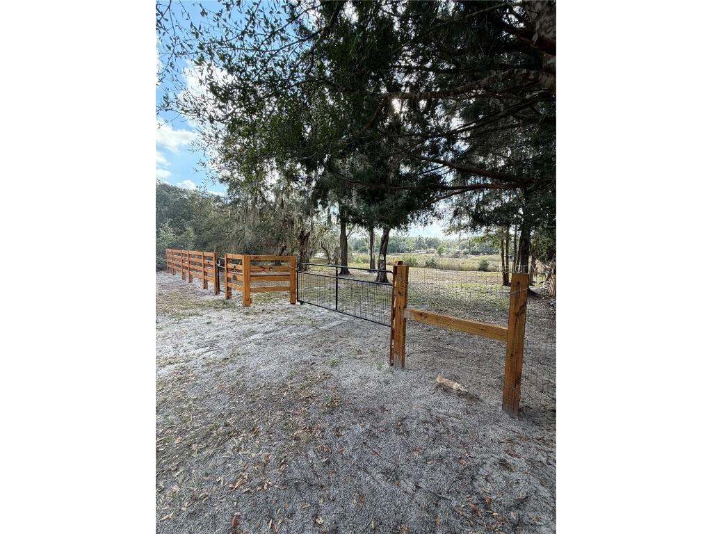 TBD NE 152nd Lane Salt Springs FL 32134 - LITTLE LAKE KERR OM715523 image5