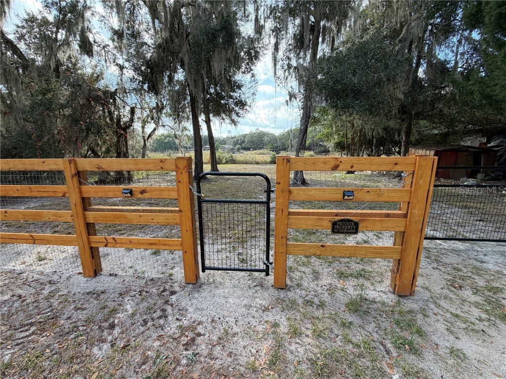 TBD NE 152nd Lane Salt Springs FL 32134 - LITTLE LAKE KERR OM715523 image7