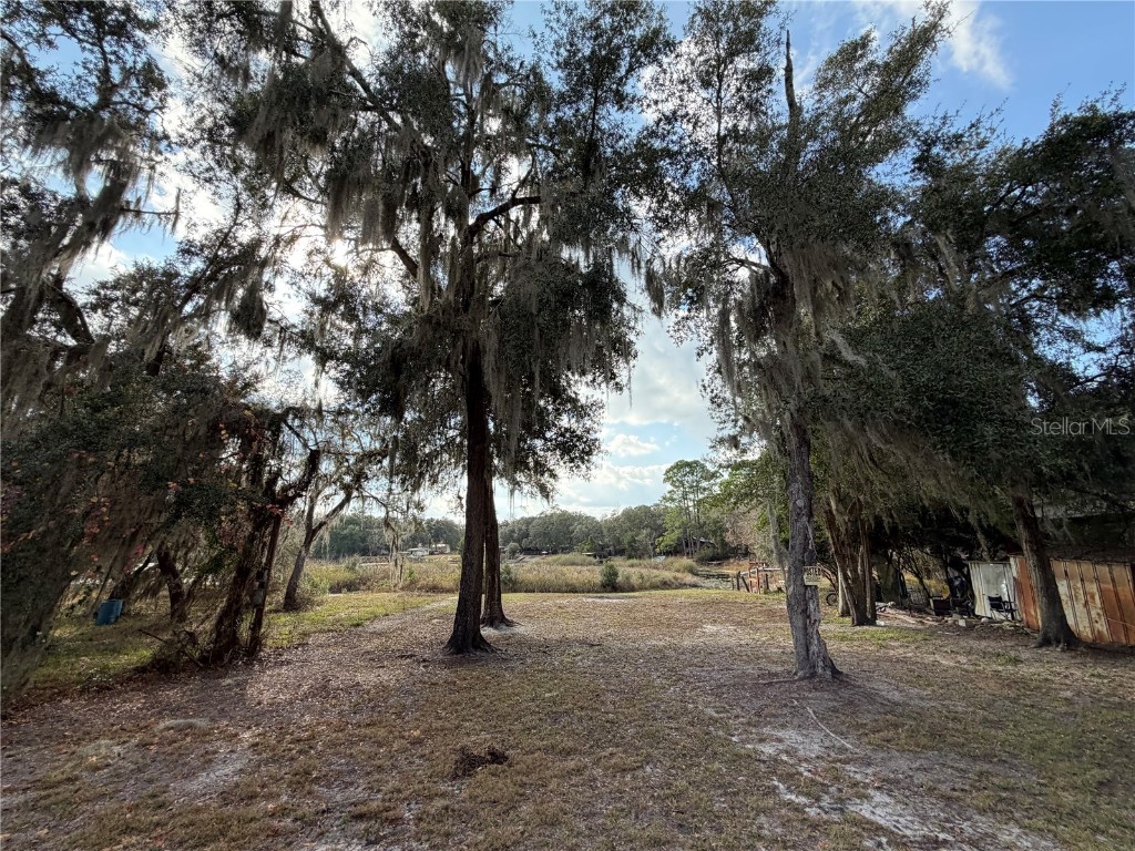 TBD NE 152nd Lane Salt Springs FL 32134 - LITTLE LAKE KERR OM715523 image8
