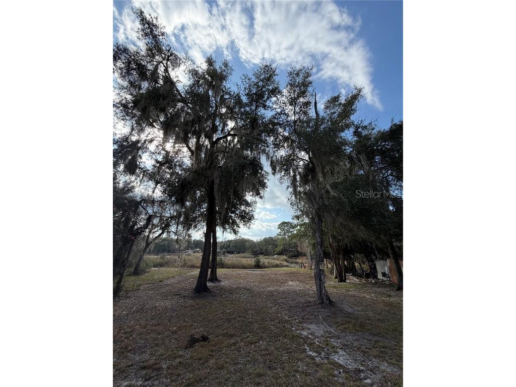 TBD NE 152nd Lane Salt Springs FL 32134 - LITTLE LAKE KERR OM715523 image9