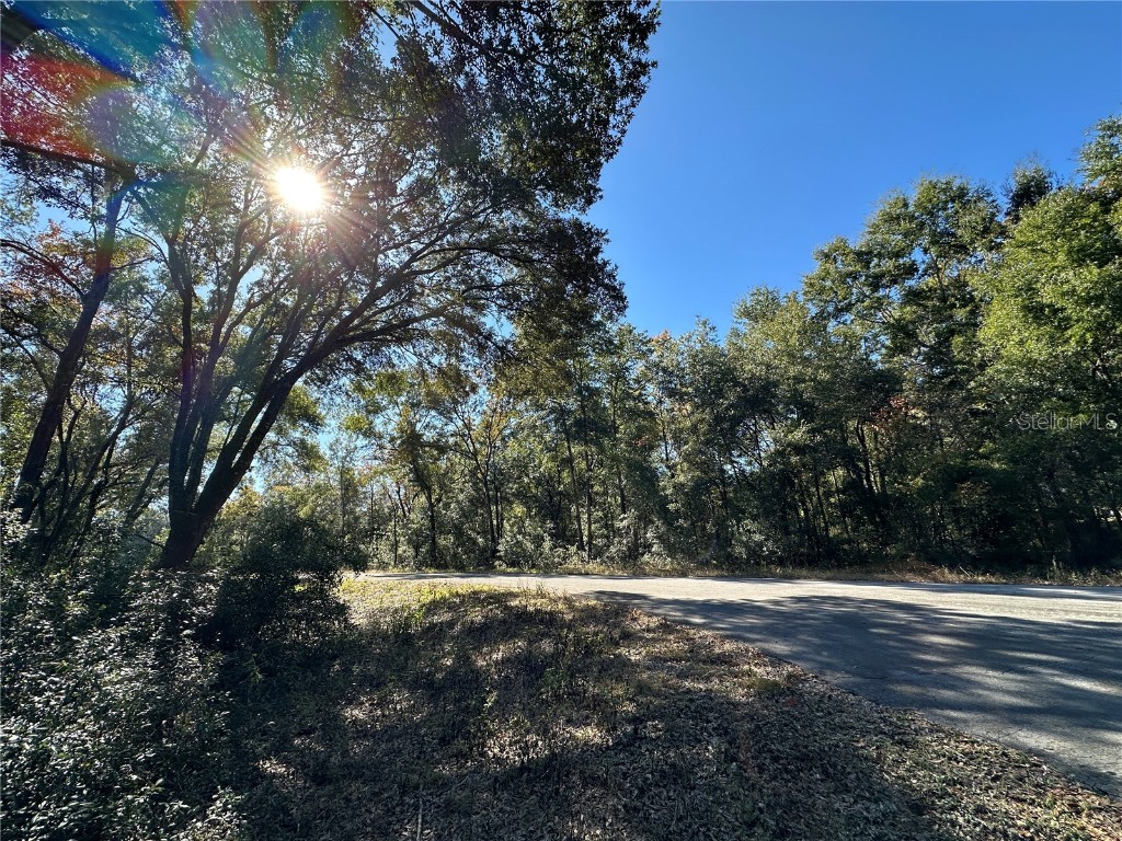 TBD NE 152nd Terrace Williston FL 32696 OM711937 image1