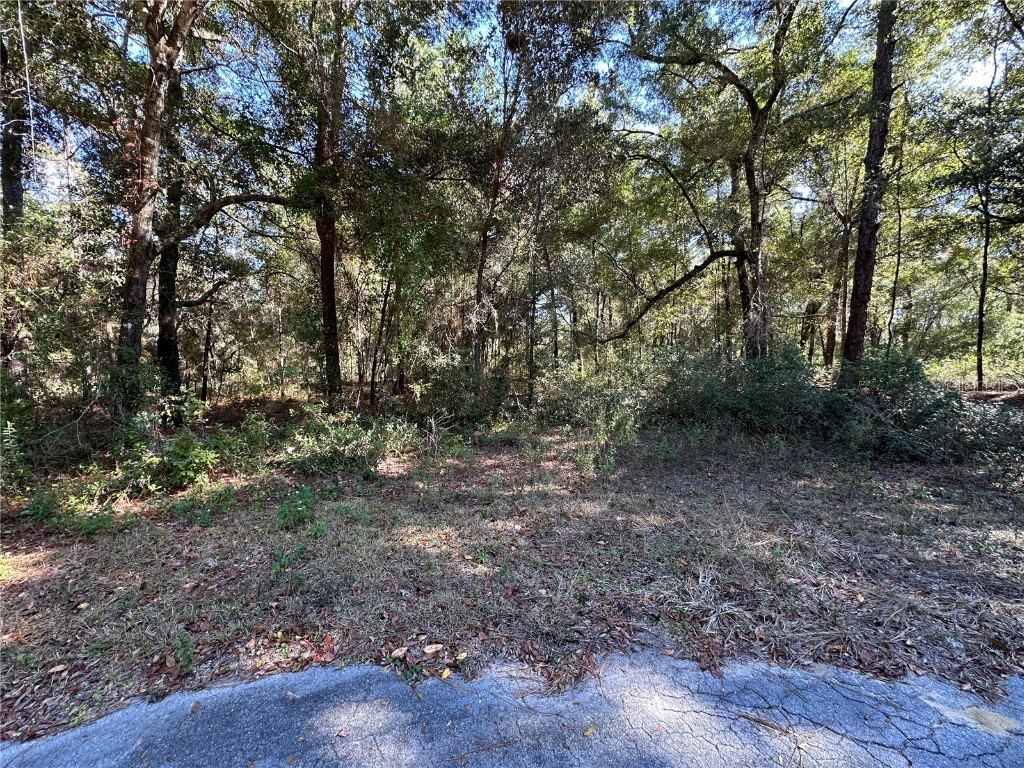 TBD NE 152nd Terrace Williston FL 32696 OM711937 image5