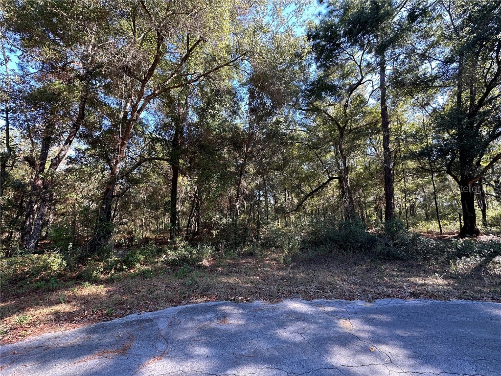 TBD NE 152nd Terrace Williston FL 32696 OM711937 image6