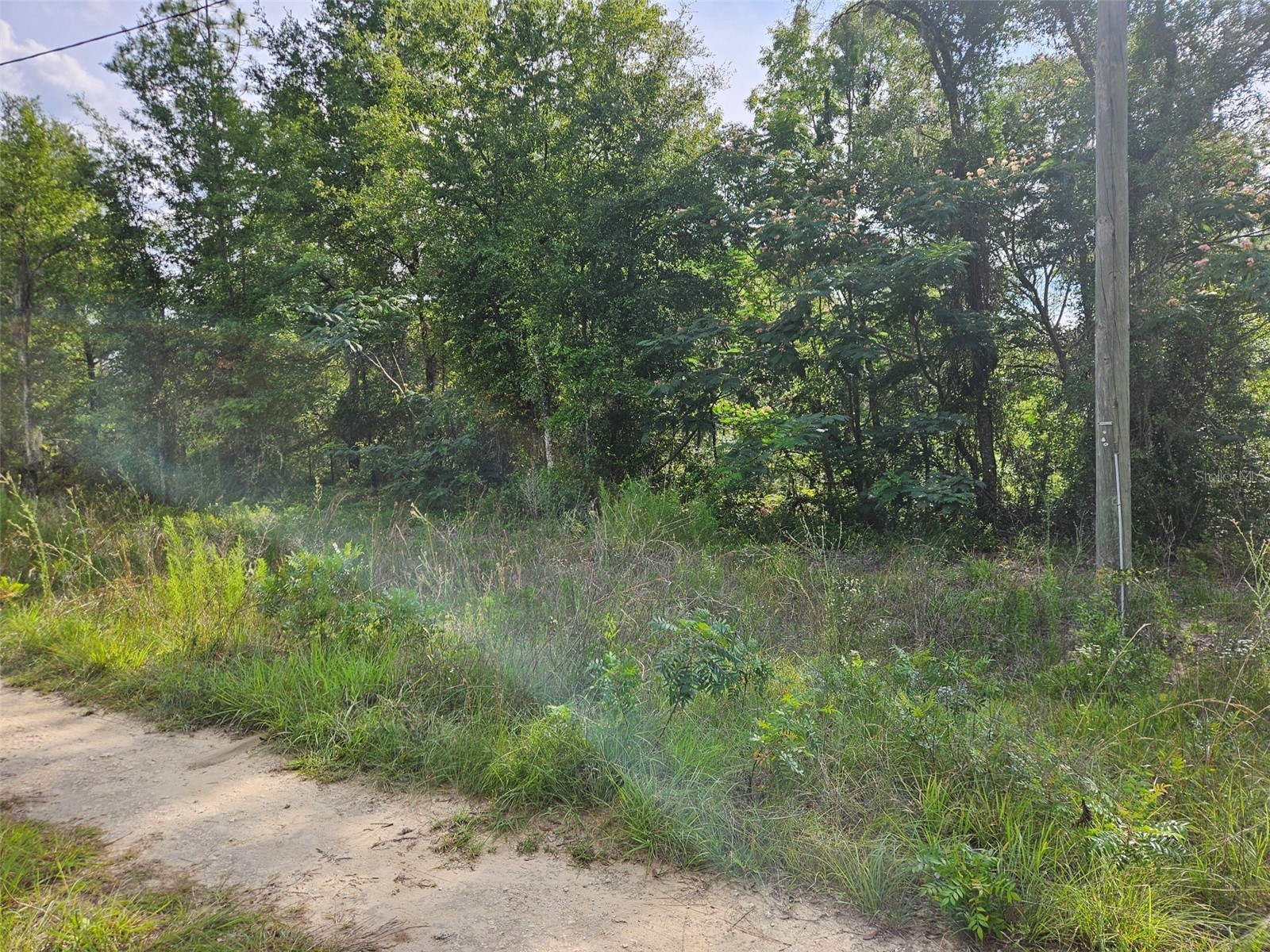 TBD NE 153rd Avenue Williston FL 32696 OM726153 image1