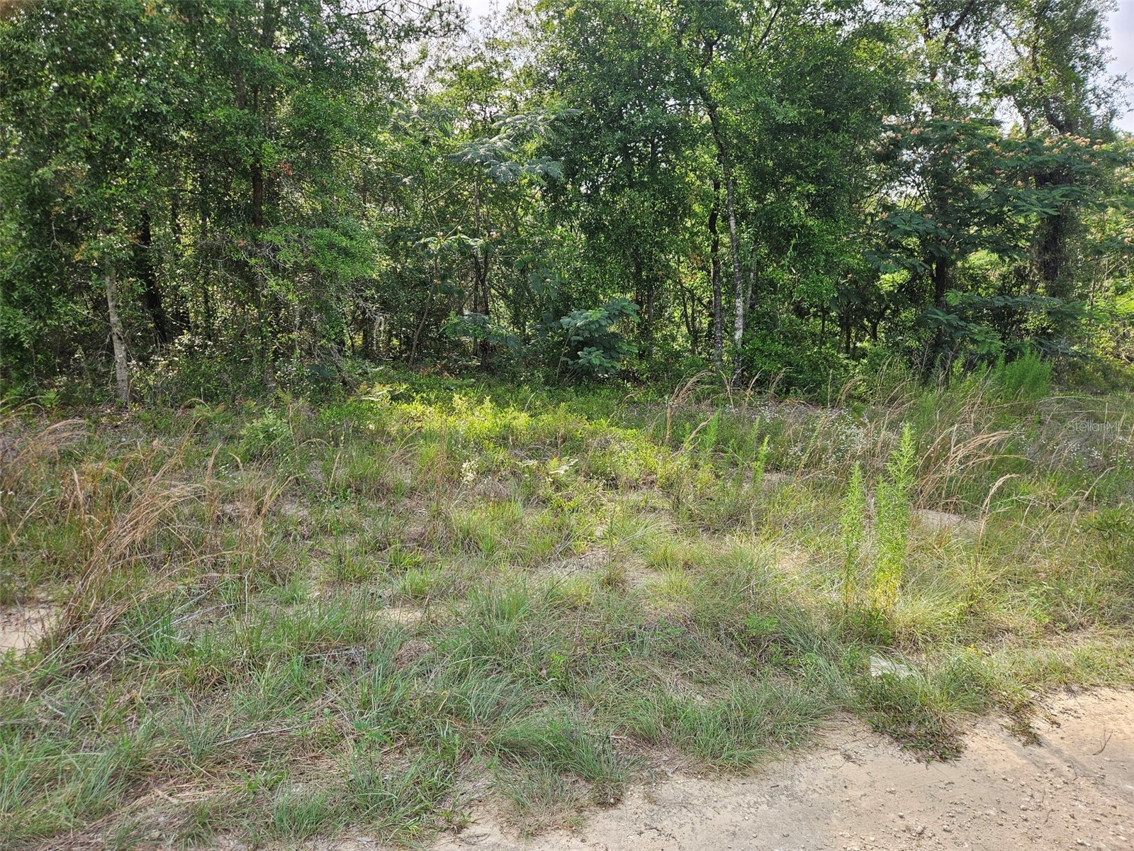 TBD NE 153rd Avenue Williston FL 32696 OM726153 image2