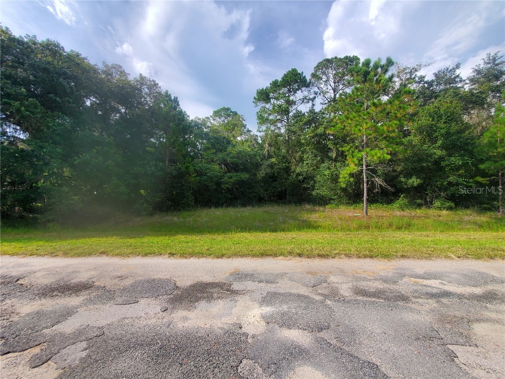 TBD NE 153rd Street Fort Mc Coy FL 32134 OM651569 image1