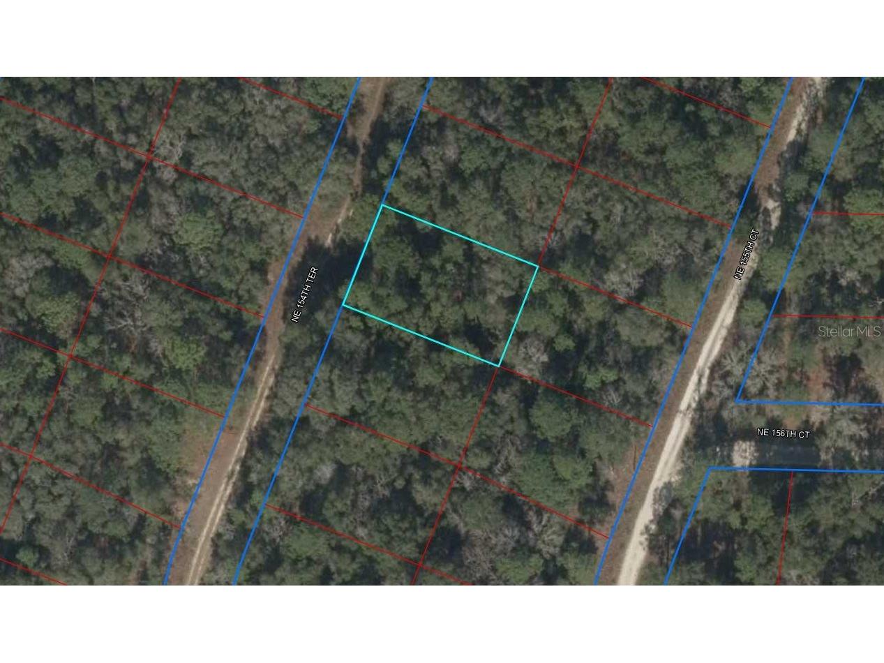 TBD NE 154 Terrace Williston FL 32696 OM655841 image1