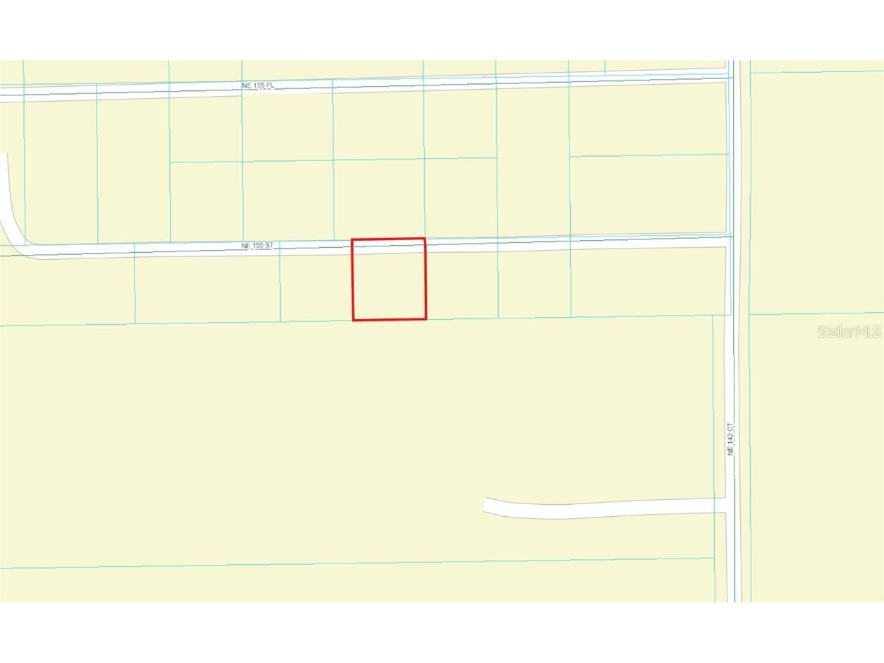 TBD NE 155th Street Fort Mc Coy FL 32134 OM685683 image1
