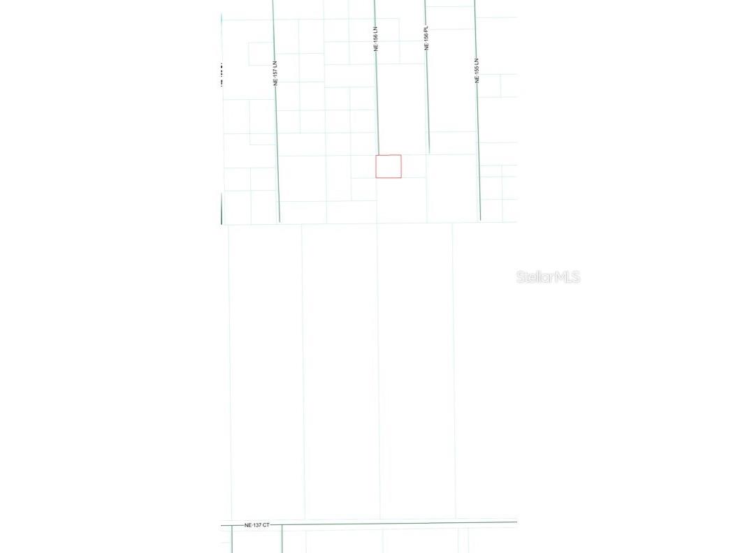 TBD NE 156 Lane Fort Mc Coy FL 32134 OM722350 image3