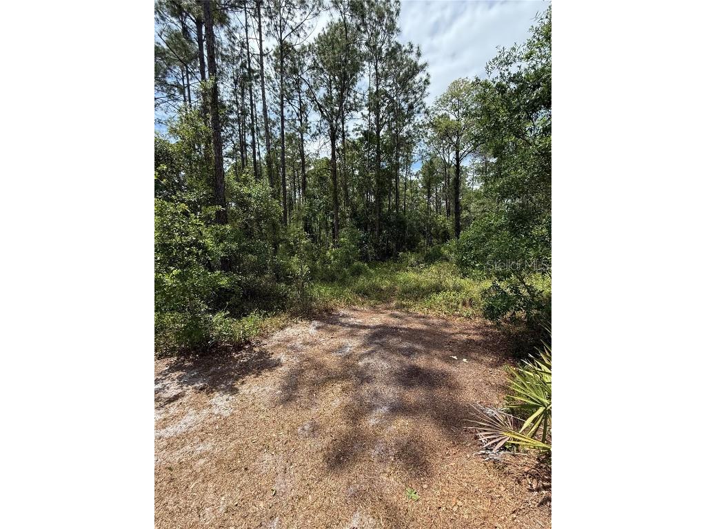 TBD NE 156th Lane Fort Mc Coy FL 32134 OM699945 image1