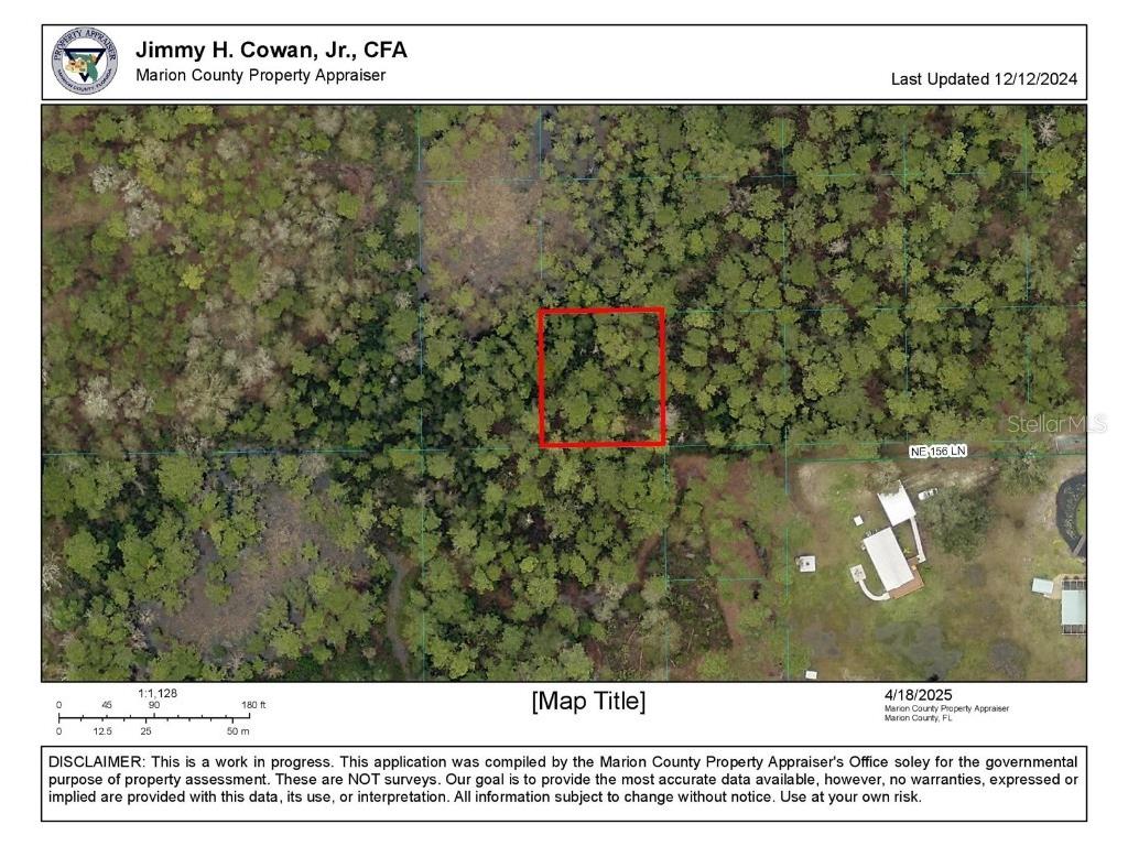 TBD NE 156th Lane Fort Mc Coy FL 32134 OM699945 image3