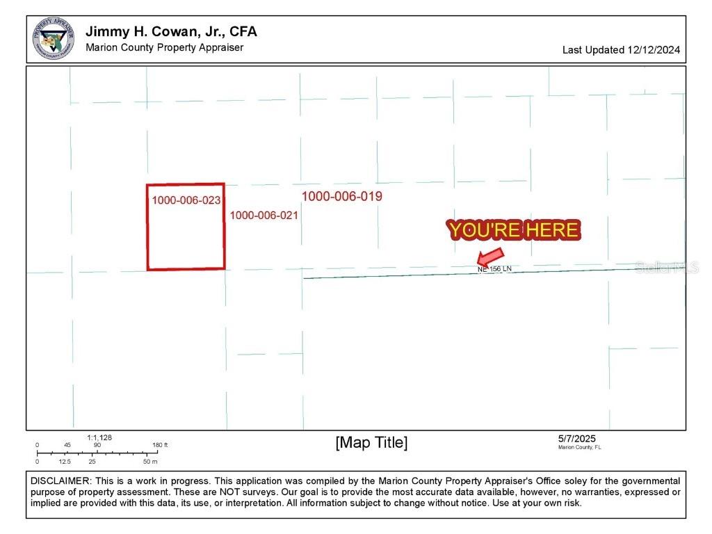TBD NE 156th Lane Fort Mc Coy FL 32134 OM699945 image7