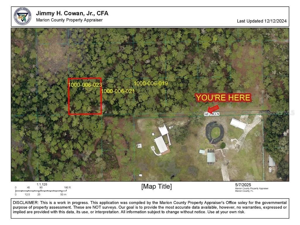 TBD NE 156th Lane Fort Mc Coy FL 32134 OM699945 image8