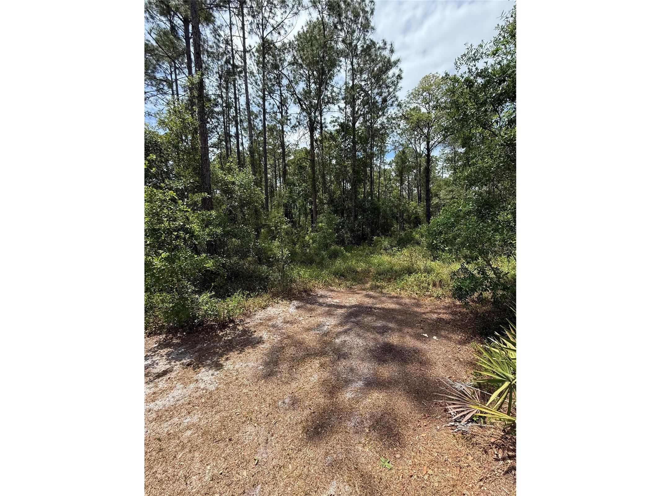 TBD NE 156th Lane Fort Mc Coy FL 32134 OM716184 image3