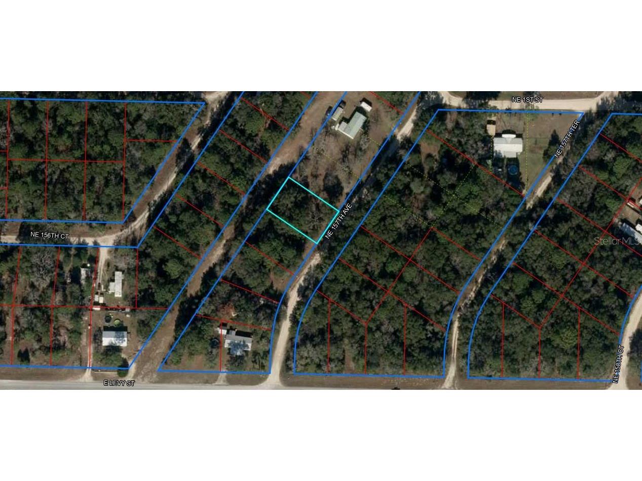 TBD NE 157th Avenue Williston FL 32696 OM692819 image1