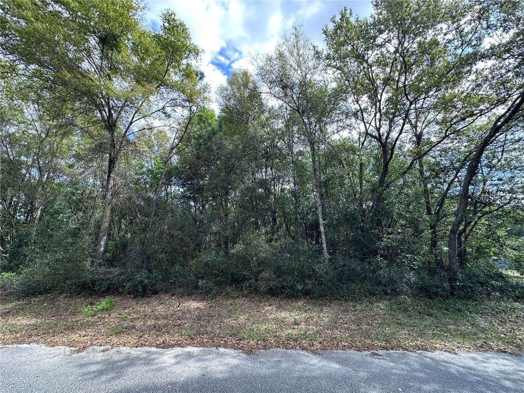 TBD NE 157th Terrace Williston FL 32696 OM695928 image1