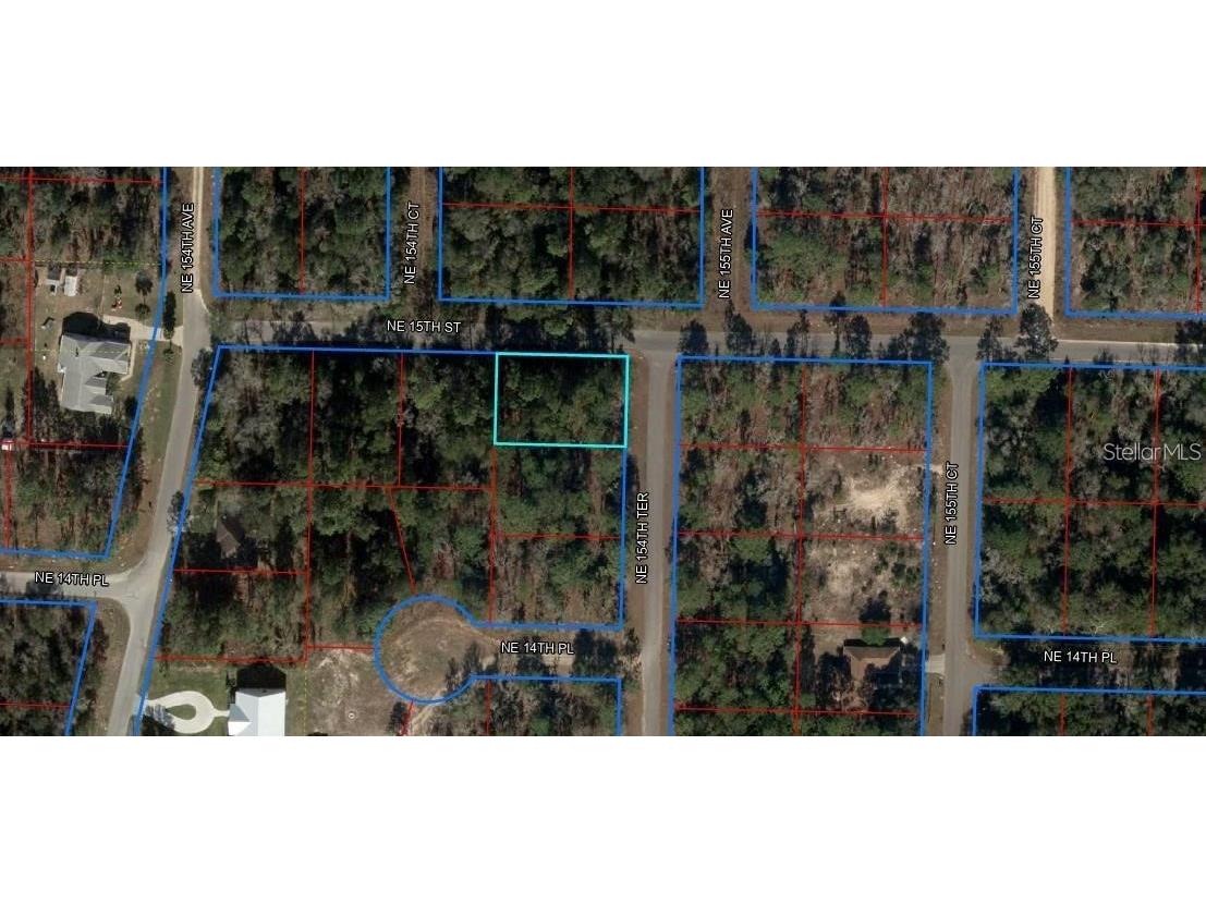 TBD NE 15th Street Williston FL 32696 O6184312 image2